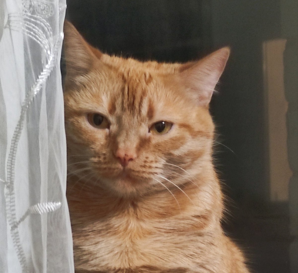 If work is really a vacation, and vacation is your job?