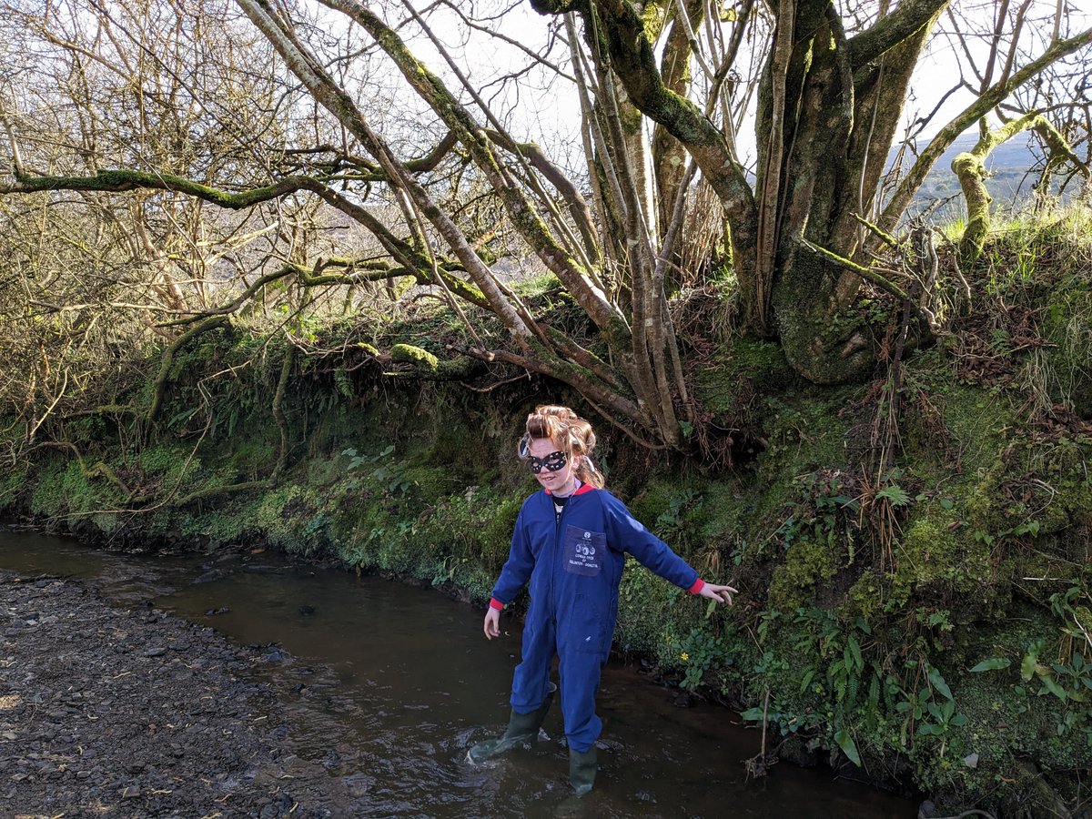 We celebrated #NationalTreeWeek and #NationalBookDay with Willy Wonka, The Lorax, and Gansta Granny joining us to survey the Long Glen River and plant trees to reduce sediment. The students from Scoil Eoghain, Moville, along with their teachers, enjoyed a sunny day in Inishowen
