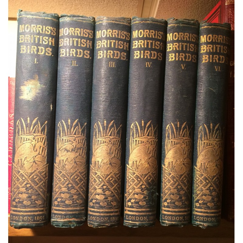 Preciosa edición de ‘A history of british birds’, de Morris, F.O. London, JC Nimmo, 1891. ☑️Disponible en @libdelprado (Del Prado, 5. Madrid) ▶️+ info: htl.li/SG0K30qJDfG #libros #librería #GremioMadrileñoLibrerosViejo #antiquebooks #librosantiguos #libreríasconencanto #aves
