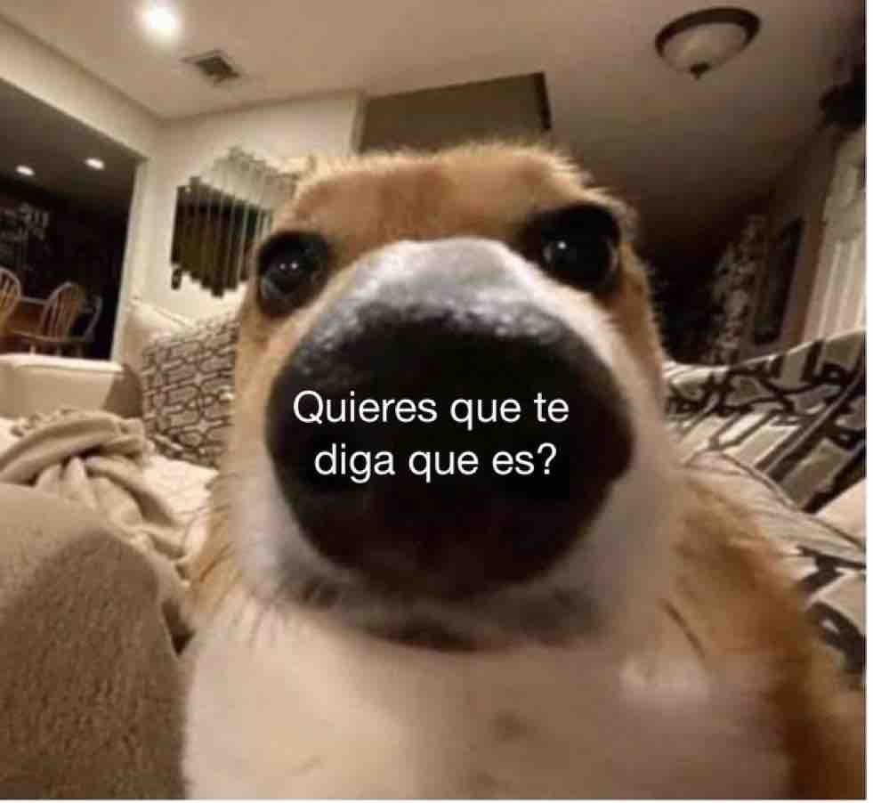 Guarromantico_'s tweet photo. Yo: *Le compro un regalo a alguien*

Yo a los 5 min: https://t.co/j42EBSmPRV