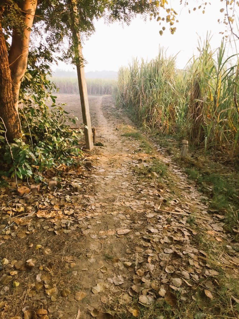 KuldeepTom32335's tweet photo. @CMOfficeUP @myogiadityanath https://t.co/umT1iiAZUp
https://t.co/f4PeyqRkhC
 मौके पर कोई जांच करने नहीं आया भ्रष्टाचारियों के खिलाफ कार्यवाही से पुलिस ब राजस्व विभाग मुझे किसान से बदमाश बनाने पर लगे हुए हैं जमीनी बिबाद में मुझे जिलाबदर कर दिया गया ह हद्दा उखाड़ कर रस्ता सकरा कर दिया है फर्जी रिपोर्ट लगी हे https://t.co/RwSEgxUFTT