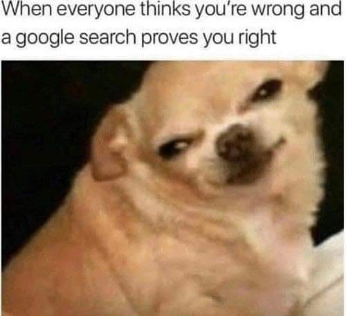 sunny_joni's tweet photo. I imagine this is face I'd make, but I'm usually wrong. 🤭😹🙈 #whosright #whoswrong https://t.co/WnZLgGkSKm
