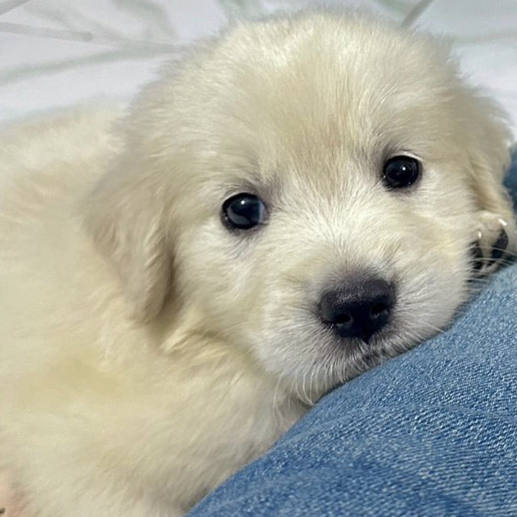 นี่ คืนนี้นอนด้วยกันป้ะ แต่จะไม่นอนก้ได้นะ แร้วแต่