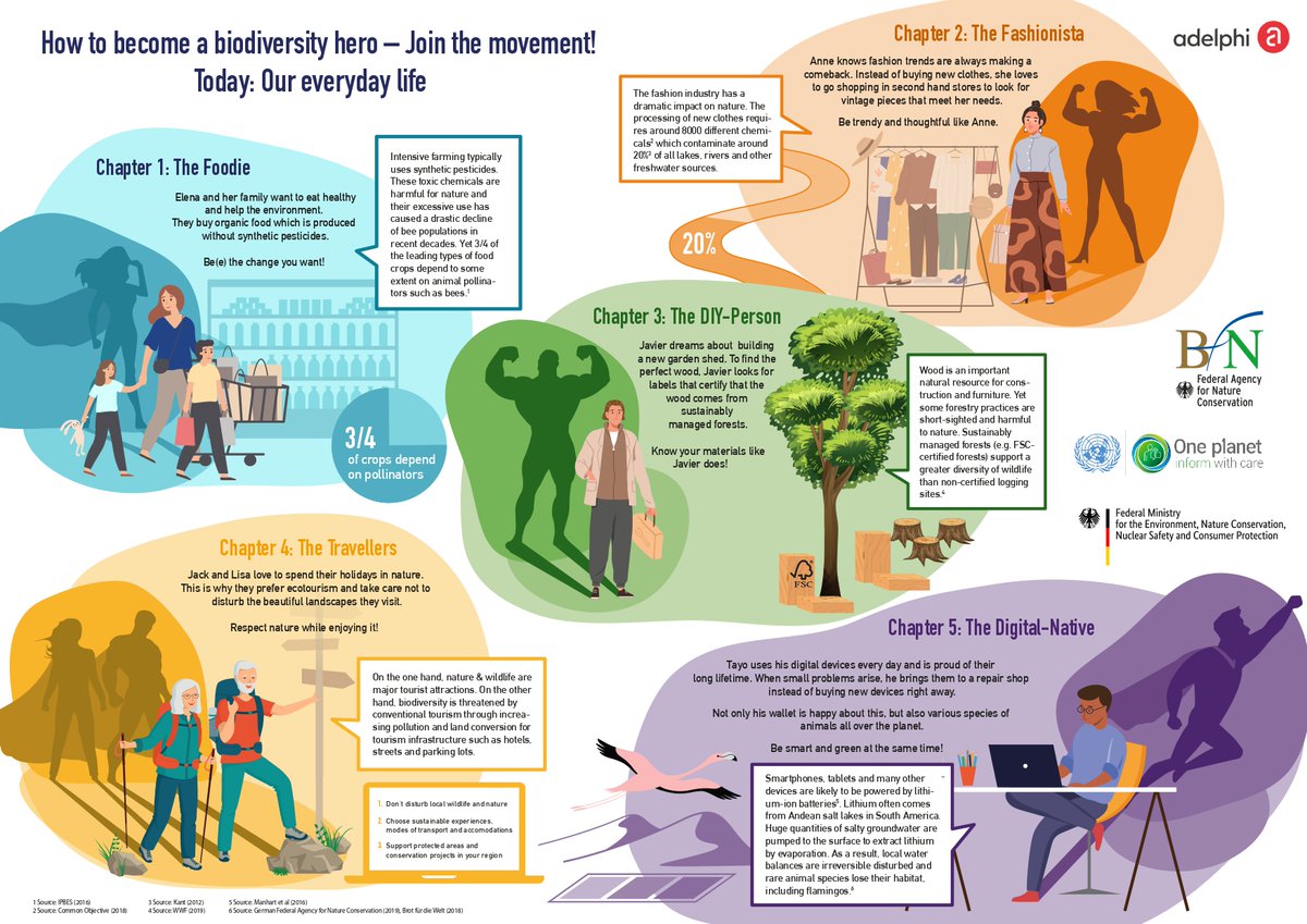 We all have our part to play in preserving #Biodiversity. Learn more about steps you can take every day to become a biodiversity hero! infographic via @10YFP