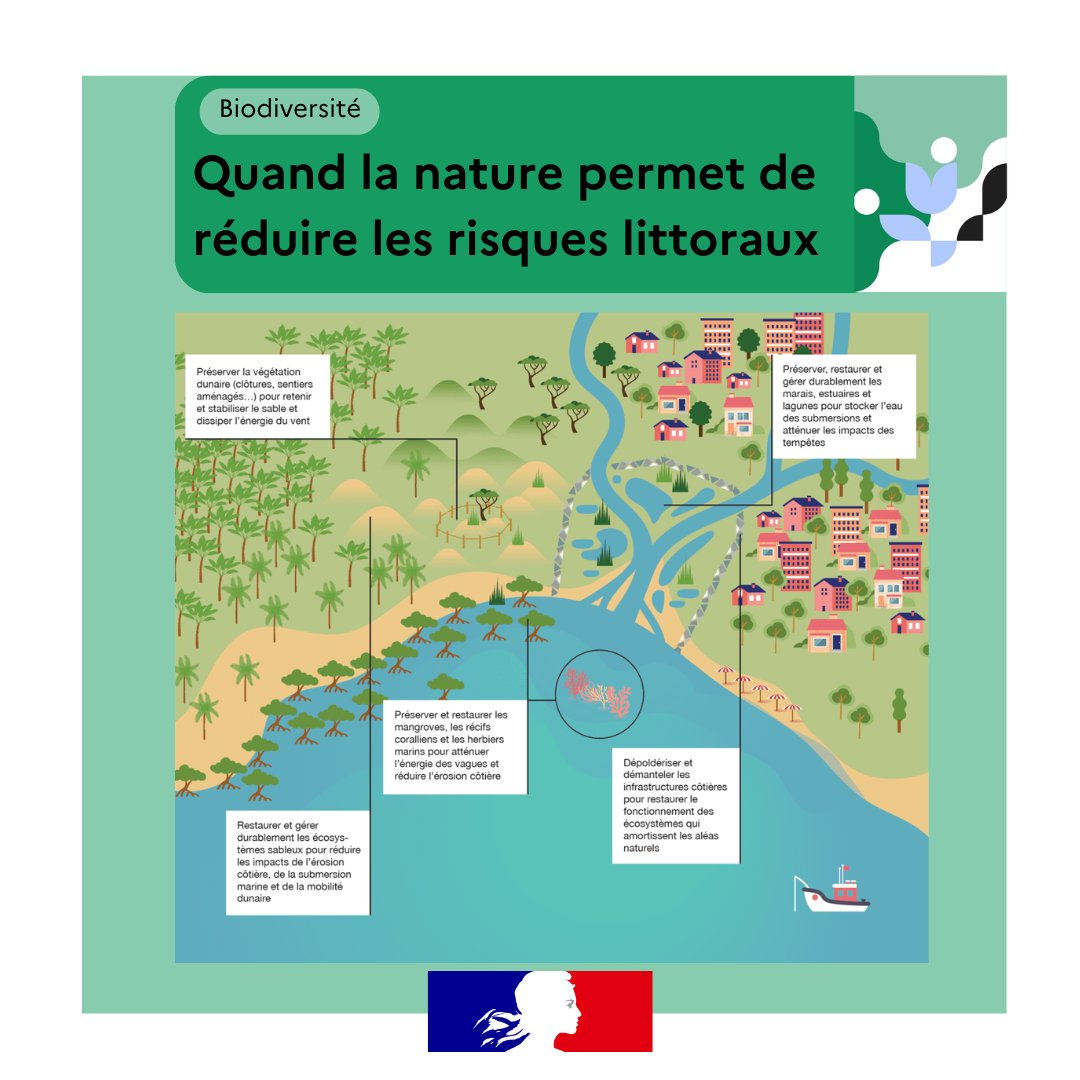 🐠 Les herbiers marins assurent de multiples services écologiques,  bénéfiques à la biodiversité marine mais également aux populations  humaines.

Pour en savoir plus sur les services que rend la  nature, lisez 👉  notre-environnement.gouv.fr/actualites/bre…
#mer #environnement #marin