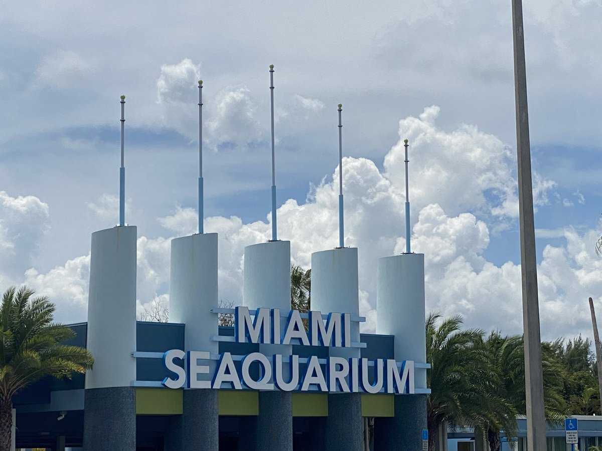 OfficialJoelF's tweet photo. Miami-Dade is terminating the Miami Seaquarium’s lease. They have to vacate the property by April 21 https://t.co/X9B2oz3fKP https://t.co/FRbQdurBgH