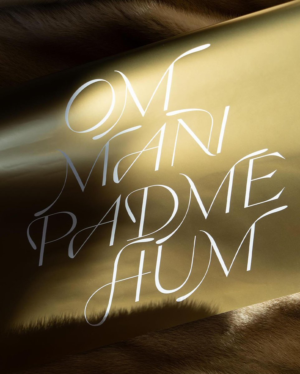 visuelle tweet media