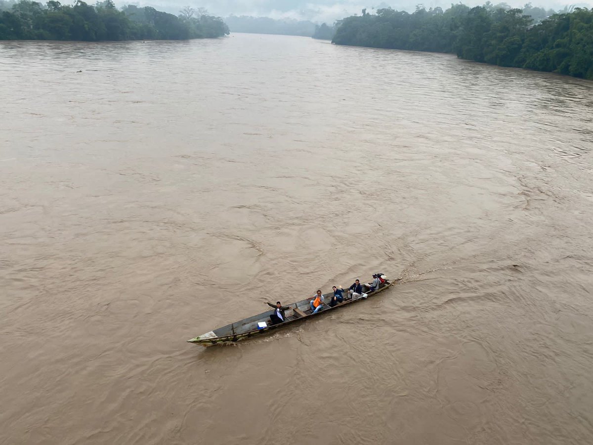 Pathogen host jumping between #Theobroma cacao and #cassava?First stop, a field masterclass with Dr. Jorge Diaz and his team from <a href="/untrm/">UNTRM</a> in #Peru on Moniliophthora perniciosa and M. Roreri causing the major diseases Cacao Witches' Broom and Cacao Moniliasis, respectively, in LAC.