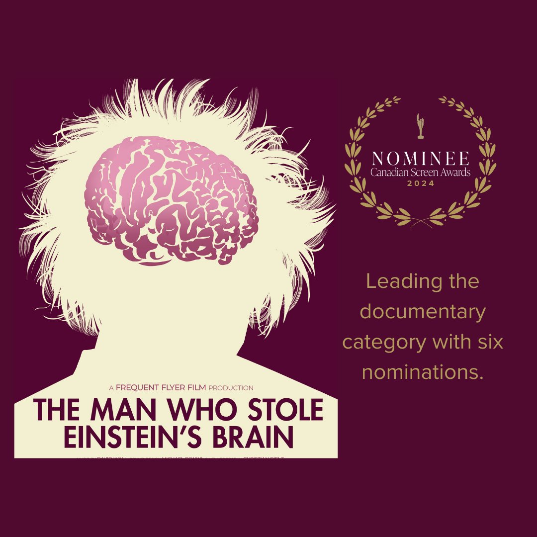 Frequent Flyer Films tweet media