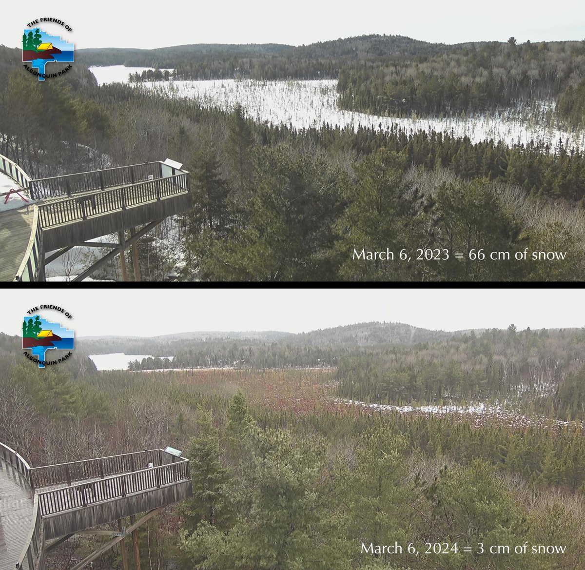 AlgonquinPark's tweet photo. Algonquin Park's Lack of Snow – On average, #AlgonquinPark has 51 cm of #snow on the ground on March 6. This #winter, just 3 cm of snow was recorded! This is the lowest value since EnvCanada began snow depth measurements at the East Gate. Read all details https://t.co/LgsVa427eZ https://t.co/2NxJPJtNJH