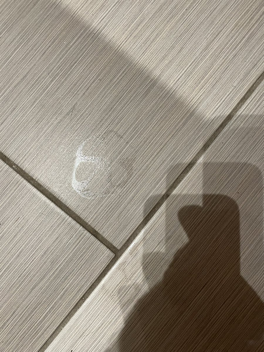 youngbubbe's tweet photo. Pretending that my dog is the star of Blues Clues by taking a picture of any dirty paw print he leaves around the house and calling it a “clue” https://t.co/75l0AB83S3