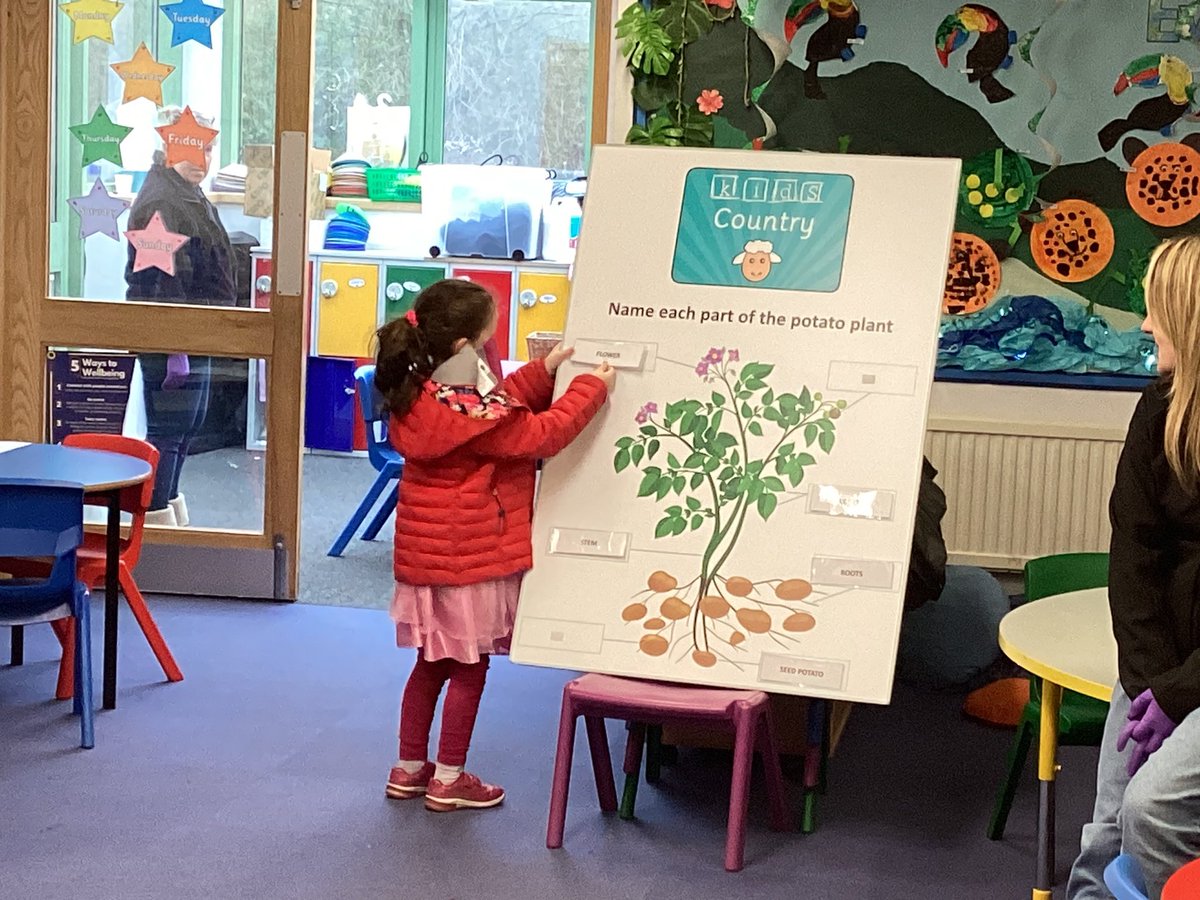 OWPSwombats's tweet photo. Our first activity this morning was learning all about the parts of the potato. 
#OWPSscience https://t.co/efqG6DvBNU