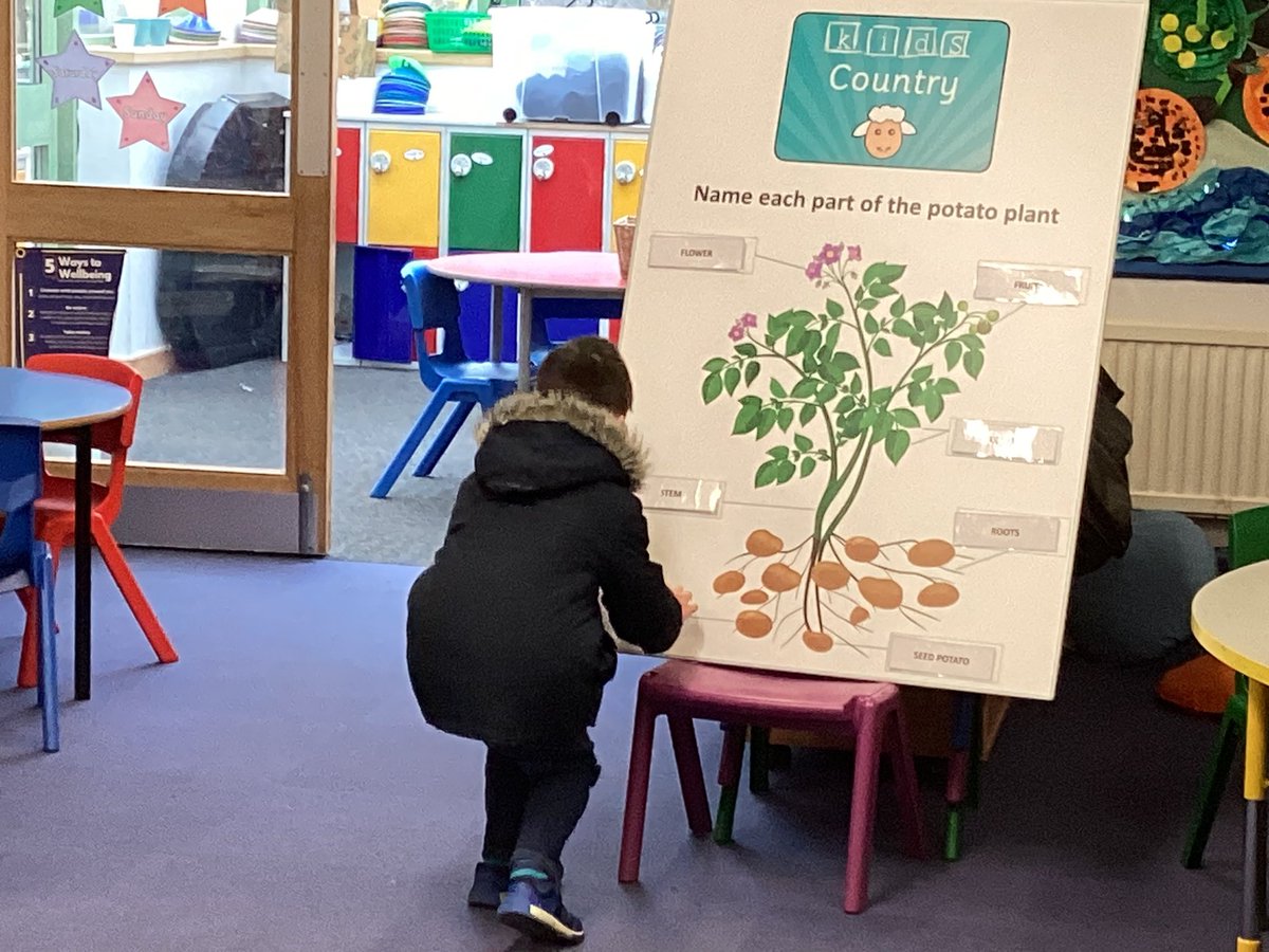 OWPSwombats's tweet photo. Our first activity this morning was learning all about the parts of the potato. 
#OWPSscience https://t.co/efqG6DvBNU