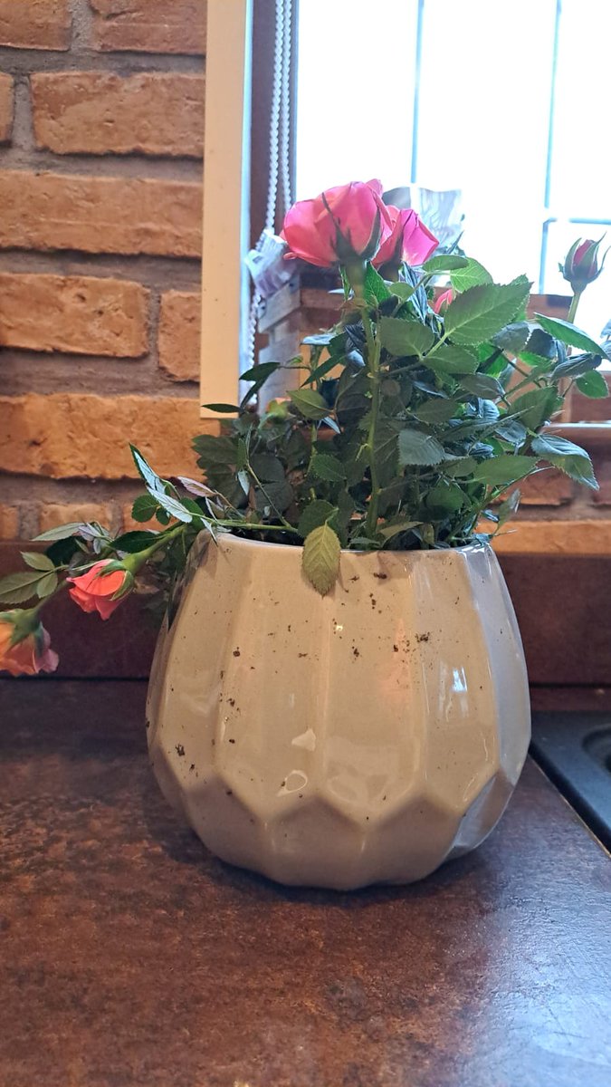 mgmmum's tweet photo. @nextofficial So thank you for arranging the replacement flowers to be sent to my Mum. It's a shame that yesterday you delivered broken roses and today you delivered a smashed vase . You really need to look at your packaging process.. https://t.co/dKyFMvxzWN