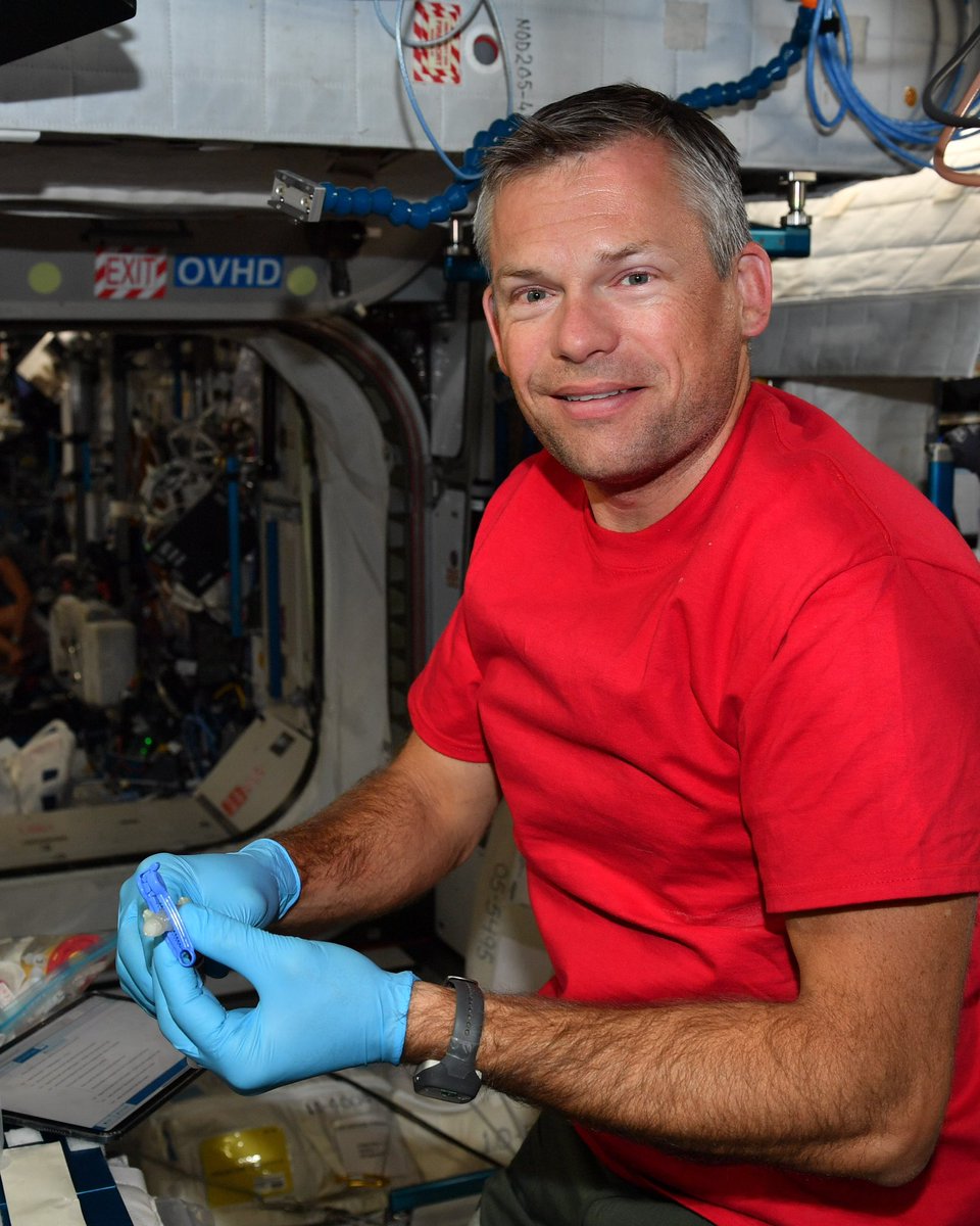 Astro_Andreas's tweet photo. Looking back at my Huginn mission, it has been an experience out of this world😉 A dream come true, where I got to live and work on the International Space Station for more than 6 months, conducting science from Denmark, Europe, and the world, in areas like our immune system, water filtration, virtual reality and how we sleep on the Space Station. 

I also used many hours of my sparetime in Cupola, taking marvelous pictures of Earth and seeing our blue planet as one. From green forests, sandy deserts and more volcanoes that I can count, each picture shows what our place in the universe has to offer. 

Here is a little collection of my work and incredible views from the Space Station. 

/
Når jeg ser tilbage på min Huginn mission, har det været en oplevelse ud over denne verden😉 En drøm der gik i opfyldelse, hvor jeg fik lov til at leve og arbejde på den Internationale Rumstation i mere end 6 måneder. Her udførte jeg videnskab fra Danmark, Europa, og verden, indenfor vores immunsystem, vandfiltrering, virtuel virkelighed og hvordan vi sover på Rumstationen for at nævne et par stykker

Jeg brugte også mange timer af min fritid i Cupola, hvor jeg tog fantastiske billeder af Jorden - herfra er det tydeligt at der kun er én blå planet vores. Fra grønne skove, sandørkener og flere vulkaner, end jeg kan tælle, viser hvert billede, hvad vores plads i universet har at byde på.

Her er en lille samling fra mit arbejde og de utrolige udsigter fra Rumstationen.

#Huginn #ThrowbackThursday #WhatYouLoveYouWillProtect