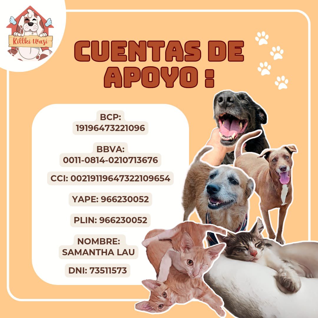Killki_Wasi's tweet photo. ¡NECESITAMOS DE TU AYUDA!
Ya casi es sábado y no hemos logrado juntar ni para subir un saco de comida a los perros 😭 y nosotros usamos 2-3 sacos semanalmente
Por favor toda ayuda suma! Desde un sol podemos hacer la diferencia @incondic_peru @ticnt_ @Carlo_Angelesm @vanessasaba75 https://t.co/q0W9mIf4nu