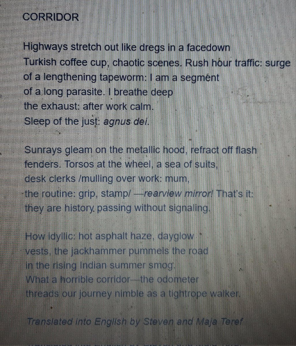 My poem translated into English