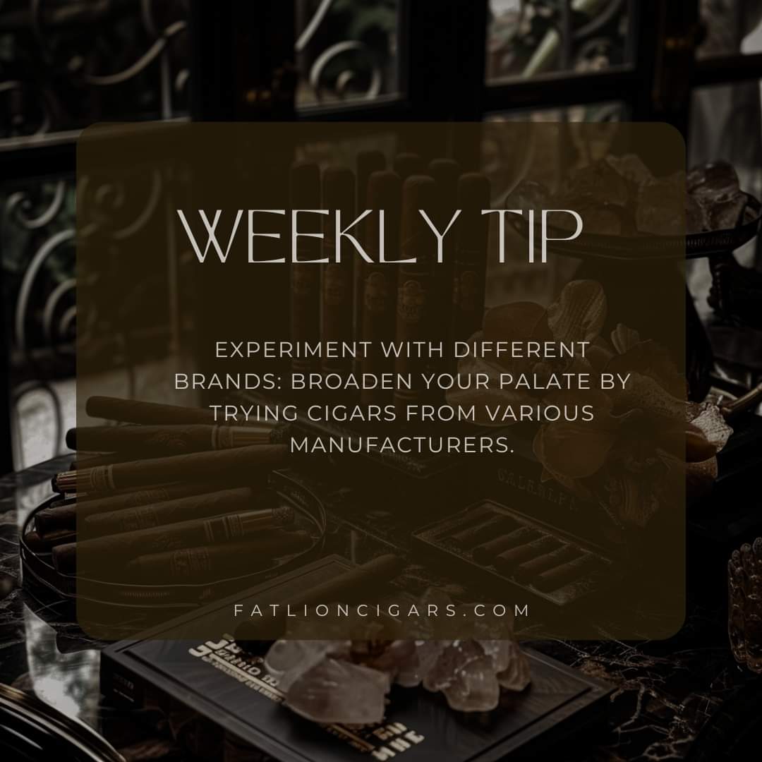 🌟 This week's tip: Diversify your humidor with a selection from different cigar craftsmen. Your palate will thank you! #FatLionCigars #WeeklyCigarTip #CigarVariety #PalateExplorer #CigarCollection #TasteTheWorld #CigarBrands #CigarAficionado #CigarLifestyle #SmokeWithPride