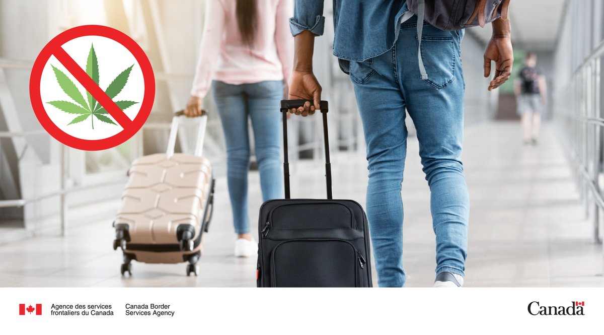 FrontiereCan's tweet photo. Un voyage lors du congé d'hiver? Laissez la plante chez vous! Il est illégal d’apporter des produits du cannabis au pays ou d’en sortir.
Info sur l’exécution de la loi et les sanctions : https://t.co/ceRfSdX9pe
#RenseignezVousAvantDePartir #Cannabis #ASFC #ConseilsDeVoyage https://t.co/qdhyMthryY