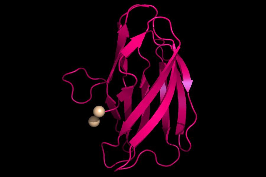 SBGrid: Structural Biology Software (@sbgrid) on Twitter photo <a href="/MeharryMedical/">Meharry Medical College</a> student <a href="/KeAndreya_M/">Key 👩🏽🔬🧪</a> highlight features a paper from the lab of <a href="/SBGrid/">SBGrid: Structural Biology Software</a> member @FisherLabLehigh of @Lehighchem; the authors examine the role of a conserved amino acid residue in bacterial copper-binding proteins.
Read more here: buff.ly/43fZDH3 <a href="/MeharryMedical/">Meharry Medical College</a> student <a href="/KeAndreya_M/">Key 👩🏽🔬🧪</a> highlight features a paper from the lab of <a href="/SBGrid/">SBGrid: Structural Biology Software</a> member @FisherLabLehigh of @Lehighchem; the authors examine the role of a conserved amino acid residue in bacterial copper-binding proteins.
Read more here: buff.ly/43fZDH3