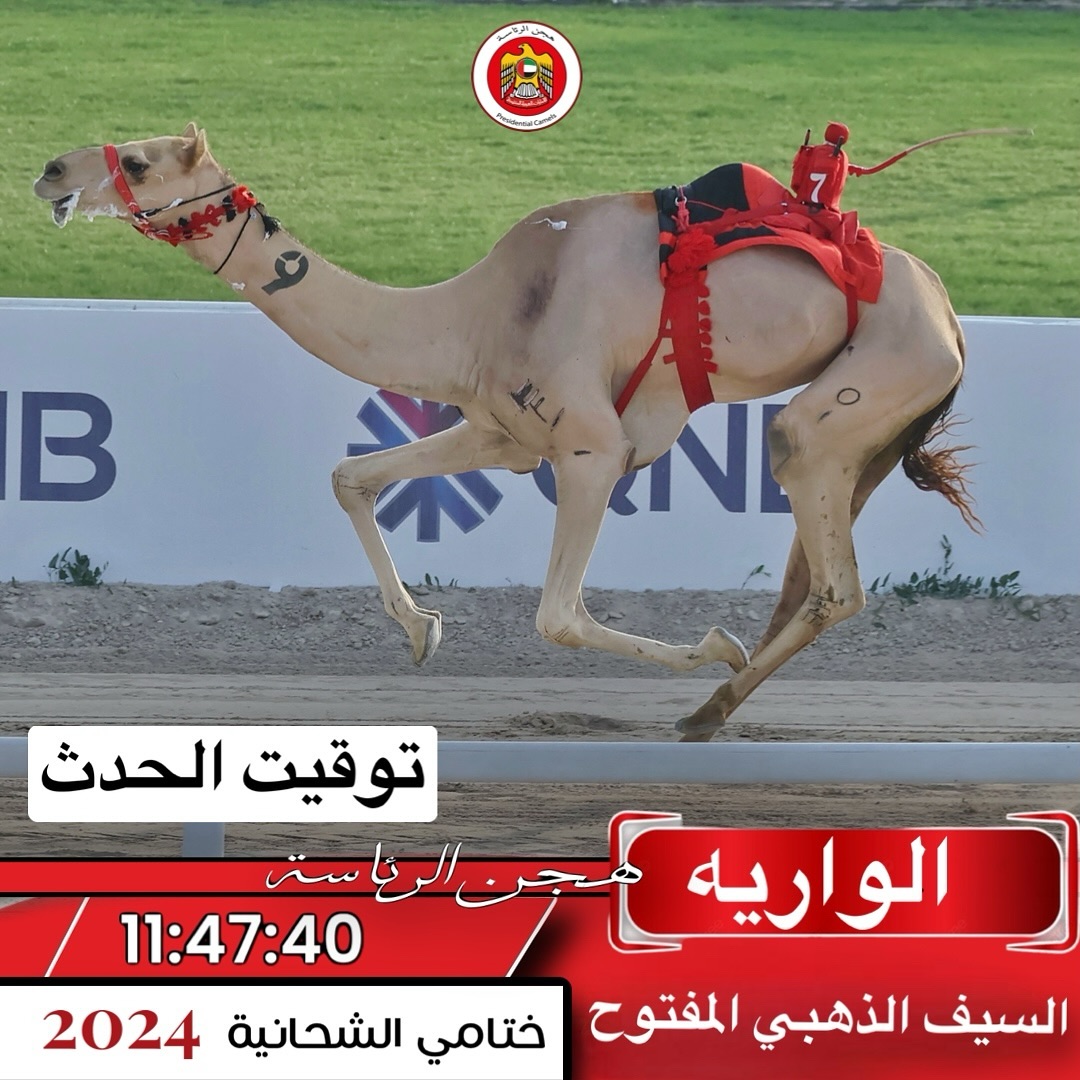 bin_alrai's tweet photo. #هجن_الرئاسة  نبارك لدولة الإمارات العربية المتحدة حكومة وشعب على حصول هجن الرئاسة على سيف الأمير لدولة قطر الشقيقة سلام الرئاسة سلام 👏👏👏#برنامج_الريس#برنامج_الريس #دولة_الامارات_العربية_المتحدة 
 #برنامج_الريس https://t.co/CMPd6VLran