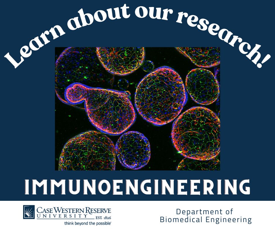 The immunoengineering labs at @CWRU focus on various research areas, such as: - Vaccines & immunotherapies - Immuno-oncology - Immunometabolism - Gene therapy - Microbiome & immunity - Immunomodulatory biomaterials - Wound healing Learn about our research! case.edu/bme/research/i…