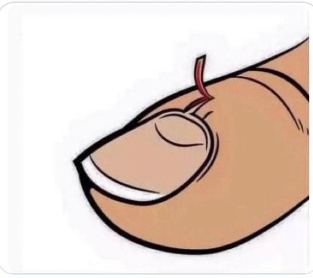 𝑪𝒉𝒊𝒕𝒐𝒔🇵🇸🇸🇦 tweet media