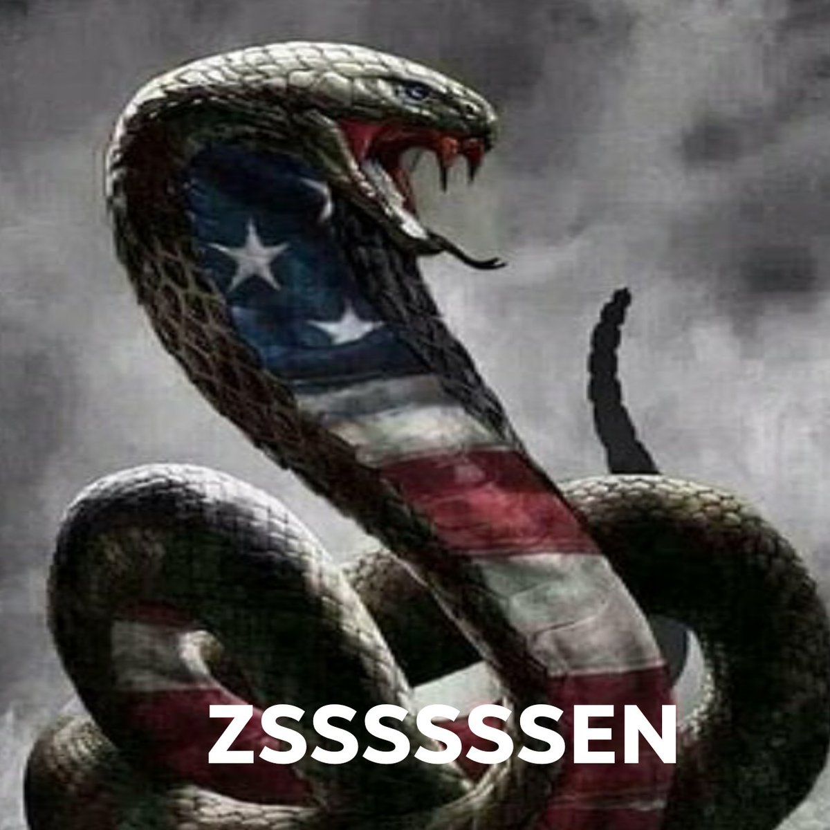karribies's tweet photo. Zen's photo 🙂 (assume the snake is British colour) https://t.co/MmknjKzC3p