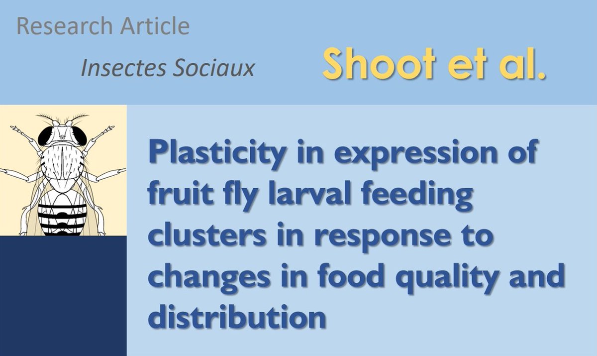InsSociaux's tweet image. New Research Article: Shoot and colleagues used Drosophila melanogaster larvae as a model for studying the dynamics of social and group behaviours.
Read the study here: rdcu.be/dACi7
#Drosophila #Clustering #cooperation #SocialBehavior #FoodPreferences #foraging
