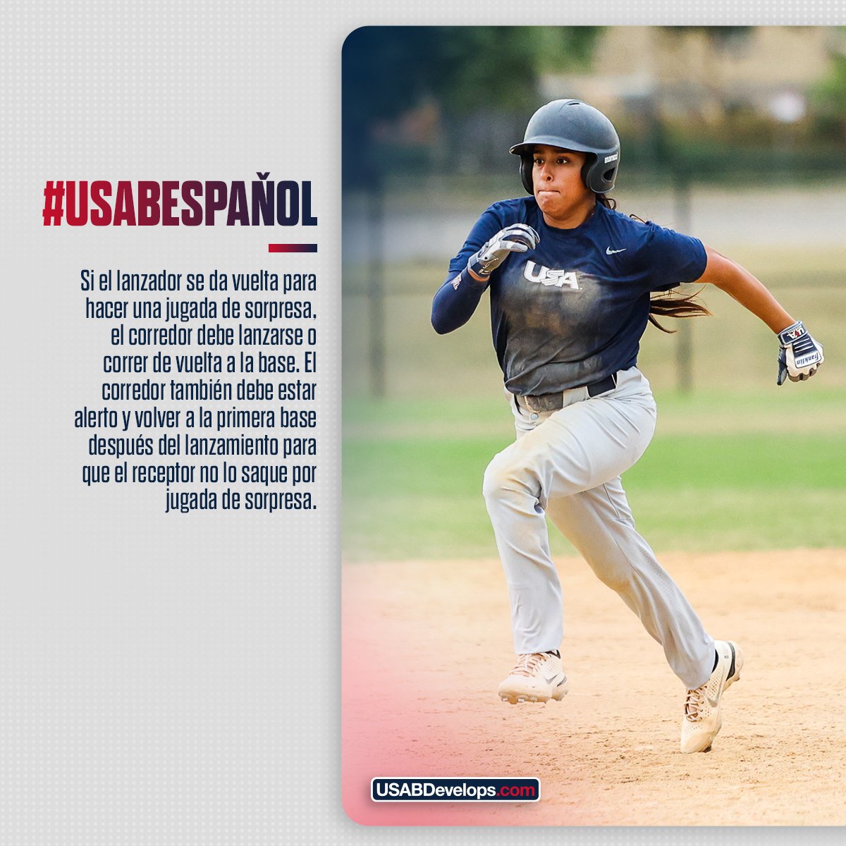 USA Baseball Español tweet media