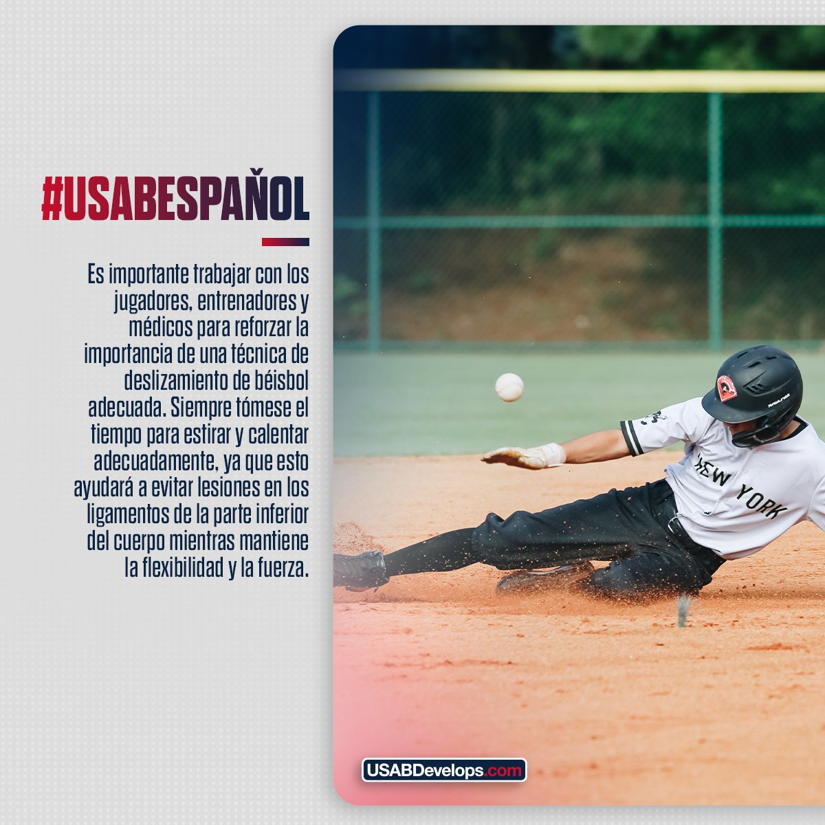 USA Baseball Español tweet media