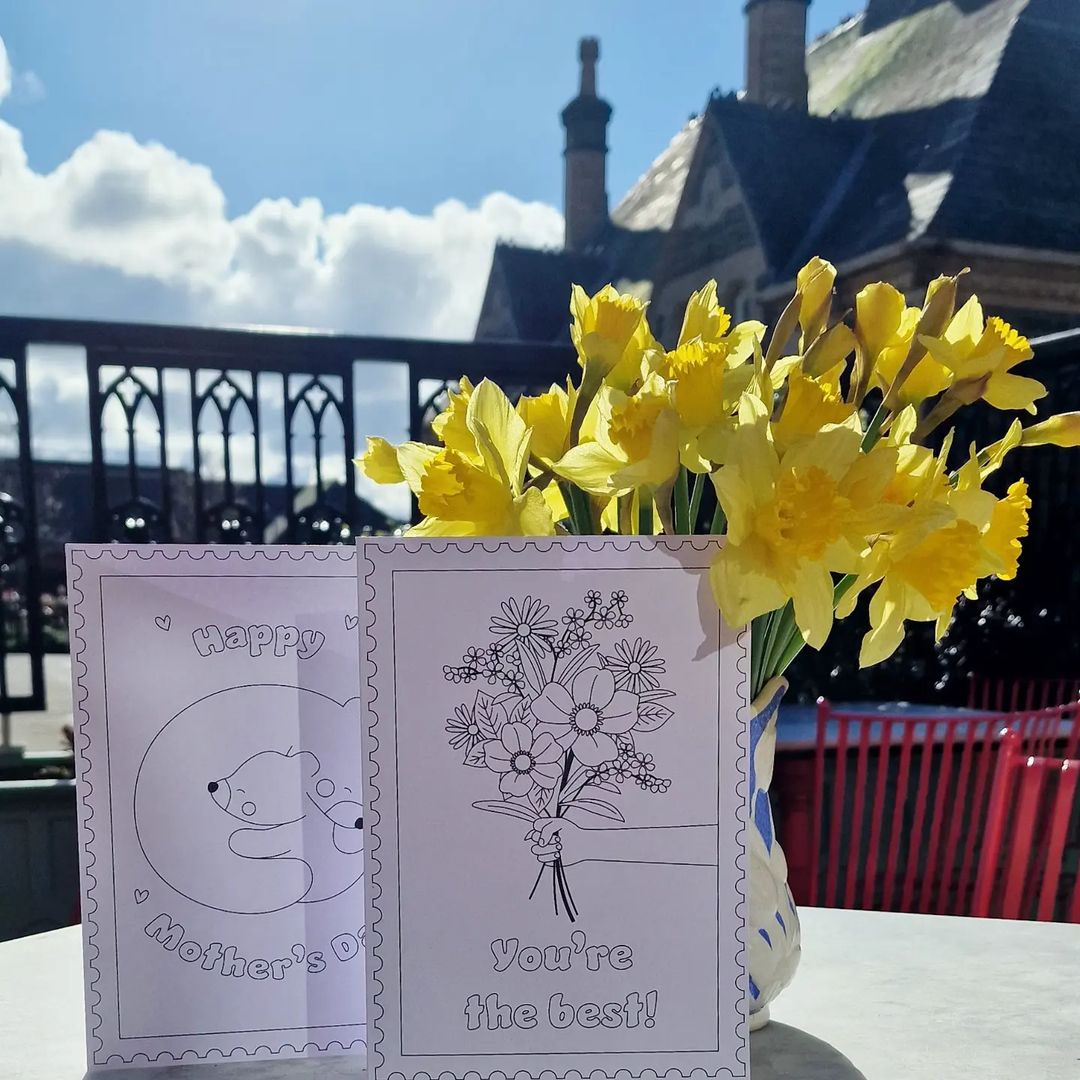 It's Mother's Day this Sunday!

We've got tasty treats, wonderful crafts and some cosy spots for you to head on over, nestle in and spend some time with those who mean the most to you this weekend.

To find your local Lounge, head to our website.

📸 Cappello + Athro Lounge