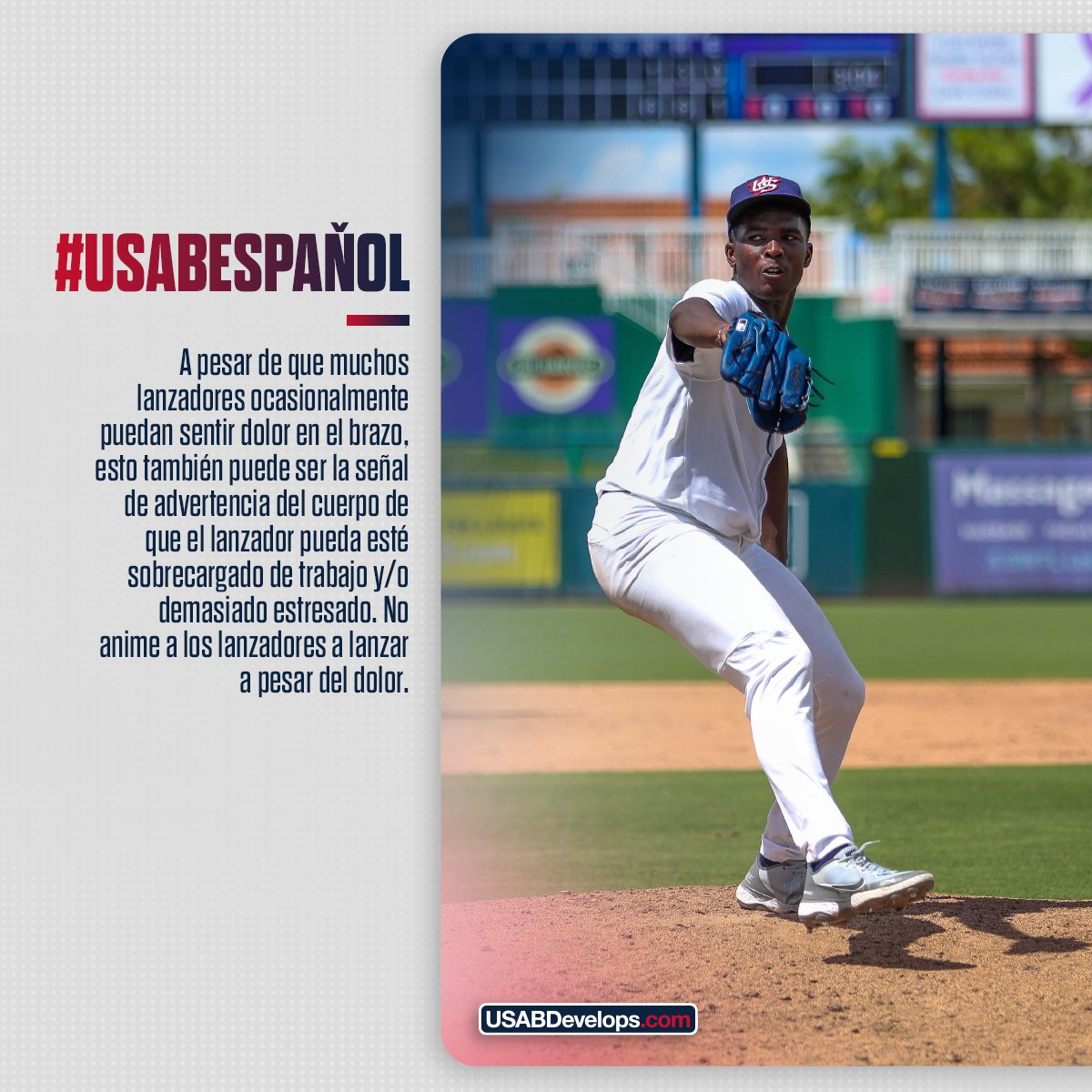 USA Baseball Español tweet media