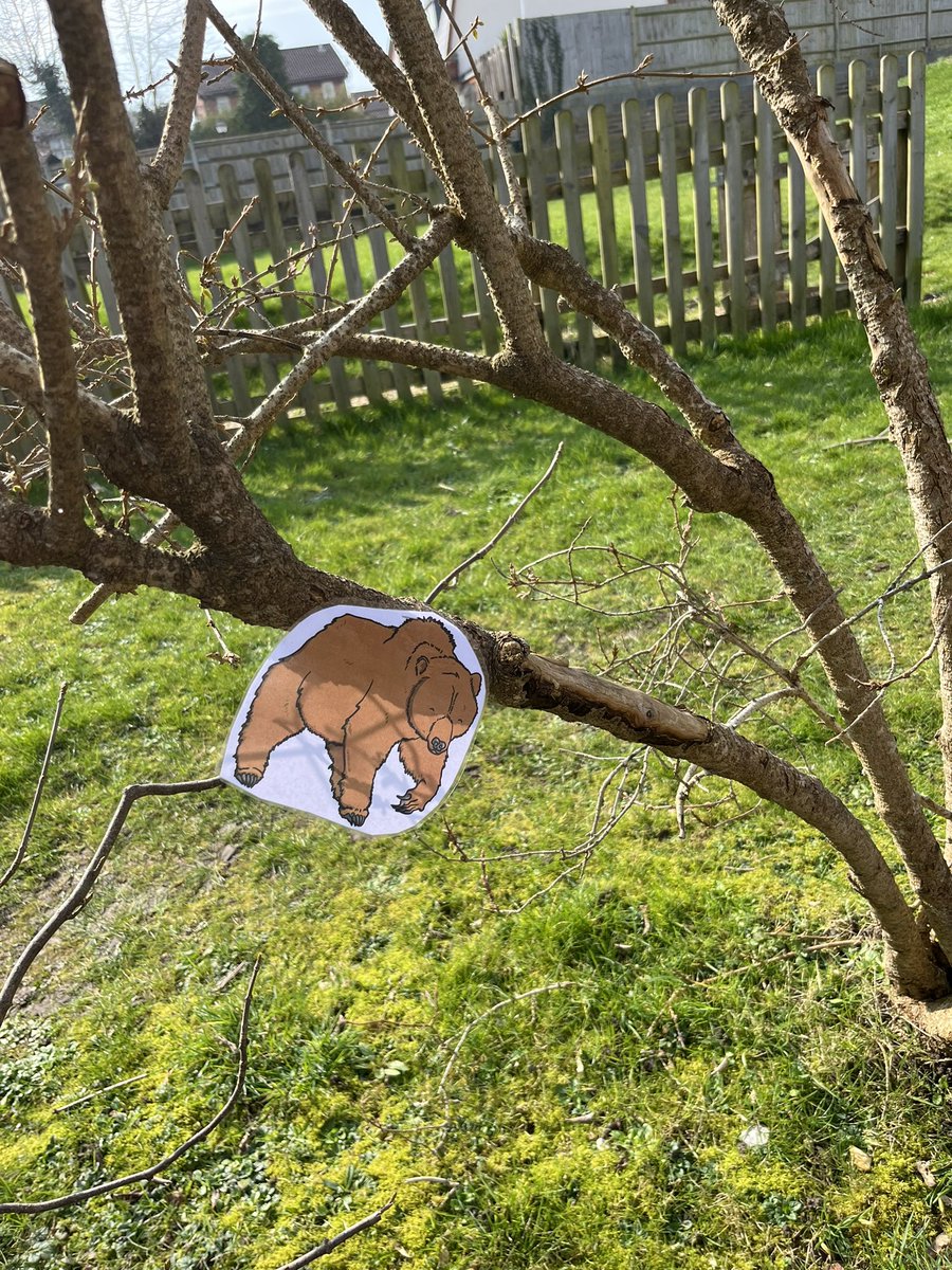 We went on a bear hunt this afternoon. 15 minutes of absolute joy! I’ll have to do this again ❤️ #teach #WorldBookDay2024 #Bearhunt #primary #sunshine #outside #wellbeing #learning