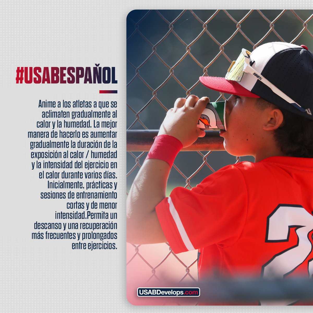 USA Baseball Español tweet media