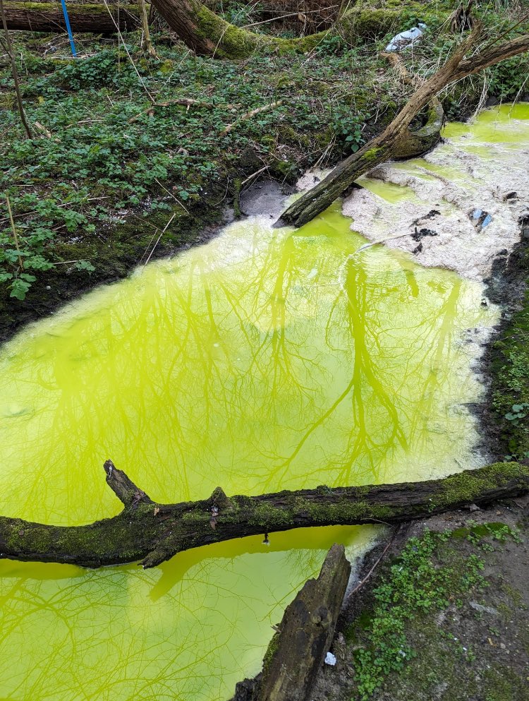 We’re looking into this bright green pollution near Cool Oak Lane at Brent Reservoir SSSI, alongside Thames Water and the Environment Agency partners. Suspicion is that it’s some sort of dye. If you have any information about this incident please report it gov.uk/report-an-envi…
