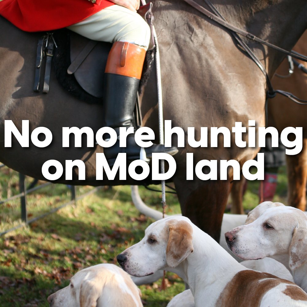 We won't stop until hunting on MoD land is banned for good. RT if you stand with us to end all hunting for good! protectthewild.org.uk/modpetition/