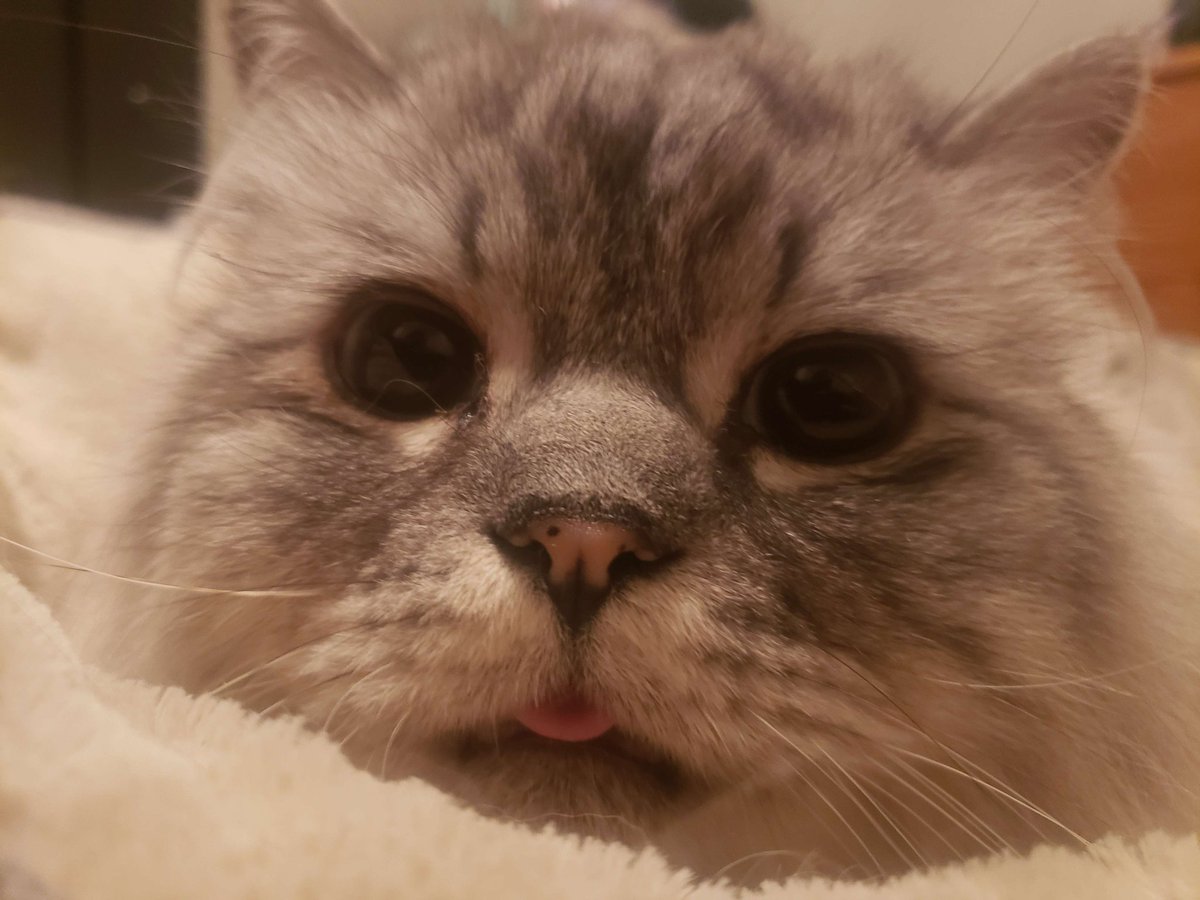 Spent the night in emergency with this little man. Send well wishes to my bbe boy  🙏