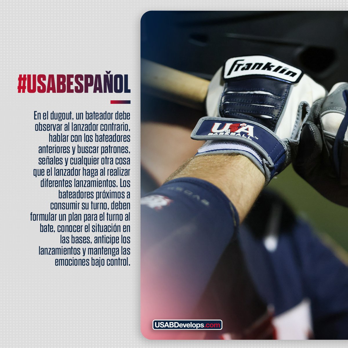 USA Baseball Español tweet media