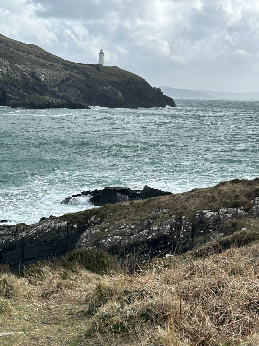 Mollkos's tweet photo. Day 67/1894
 Had a lovely walk in Dunboy. 
#100daysofwalking 
#1900daysofwalking  #365crew
#newstalk https://t.co/Bp9mD64Ysl
