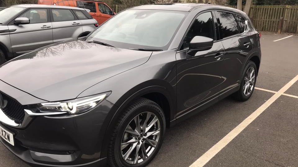 David Smith tweet media