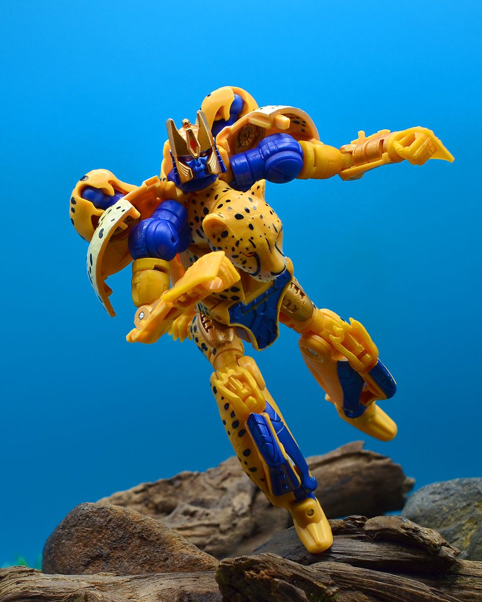 ohgodnotbears's tweet photo. Cheetor, Maxamize! (BWVS-03 Cheetor)

#transformers #toyphotography https://t.co/Tq8EayqBPI