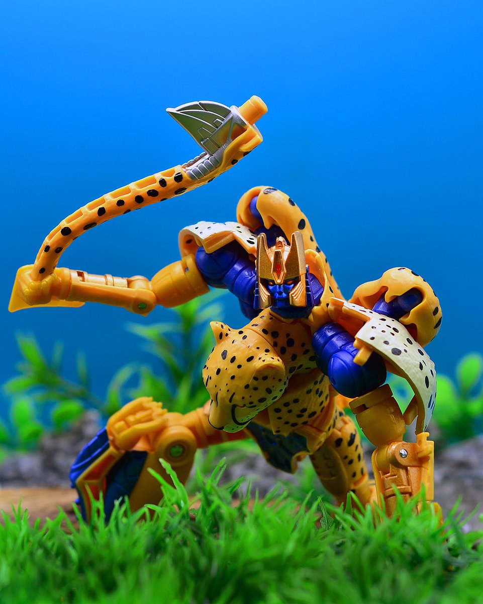 ohgodnotbears's tweet photo. Cheetor, Maxamize! (BWVS-03 Cheetor)

#transformers #toyphotography https://t.co/Tq8EayqBPI