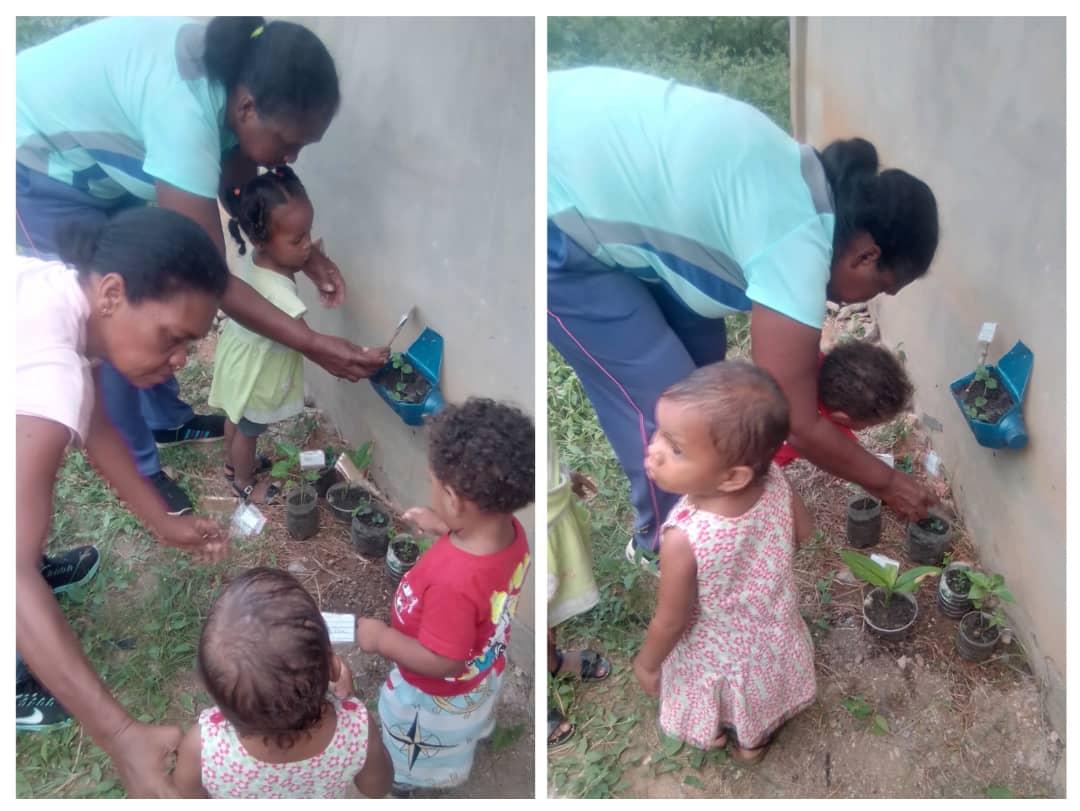 miranda_senifa's tweet photo. Nuestr@s Niñ@s junto a Madres Integrales y Docentes Comunitarias del SC Mis Amiguitos Municipio Andrés Bello en Riego de Nuestras Plantas en el #ConuquitoMaternalCarlosLanz Por Nuestra Soberanía Alimentaria @NicolasMaduro @_LaAvanzadora @ConCiliaFlores @gtorodelara @PrensaSenifa https://t.co/1WMTwSAVob