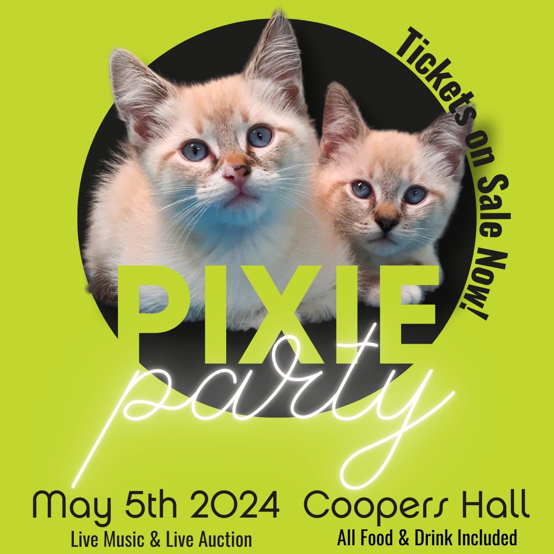 thepixieproject tweet media