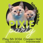 Photo by thepixieproject (@thepixieproject)