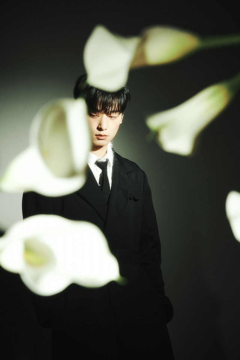 THEBOYZSOHN's tweet photo. Lost in the elegance of a calla lily, we find solace in memories that bloom eternally. https://t.co/OdiyhC5vrw
