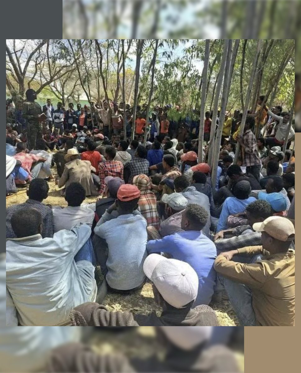 Simbirtuu Barii (@simbirtuub10260) on Twitter photo Mens fascisten Abiy intensiverer folkemordskrigen ved å bruke sine hemmelige drapsskvadroner mot OROMO-er, diskuterer vokteren av nasjonen #OLF_OLA med folk i Arsi om håp, kampen for frihet & enhet for Oromo-folket. <a href="/IMFNews/">IMF</a> <a href="/NorwayMFA/">Norway MFA</a> <a href="/AP/">The Associated Press</a> #OromoHolocaust Mens fascisten Abiy intensiverer folkemordskrigen ved å bruke sine hemmelige drapsskvadroner mot OROMO-er, diskuterer vokteren av nasjonen #OLF_OLA med folk i Arsi om håp, kampen for frihet & enhet for Oromo-folket. <a href="/IMFNews/">IMF</a> <a href="/NorwayMFA/">Norway MFA</a> <a href="/AP/">The Associated Press</a> #OromoHolocaust