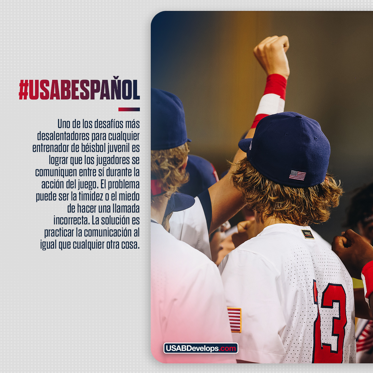 USA Baseball Español tweet media