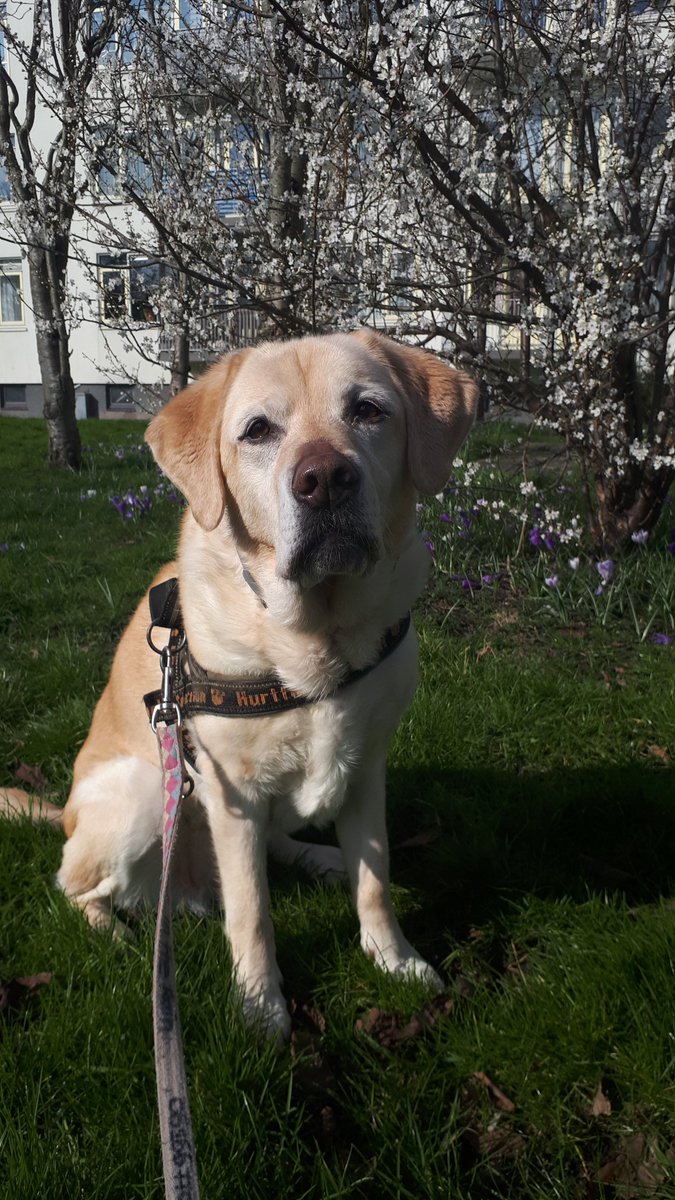 ImkeSingingintherain tweet media